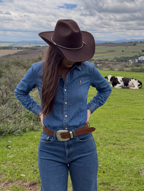 Camisa de Denim Clásica de Botones